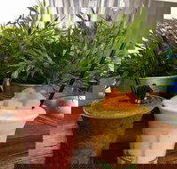 Brighton St - Takeaway - Stayed