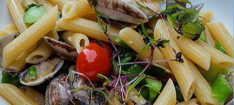 Jannat Authentic Indian Restaurant - Stays Accommodation 13