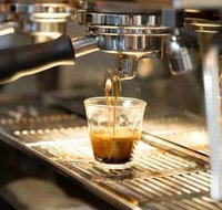 Black Bear Cafe - Stayed