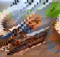 Hello Harry - Stayed