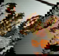 The Star Buffet - Stayed