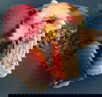 Whale Restaurant - Stayed