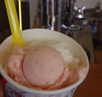 Bermagui Gelati Clinic - Stayed