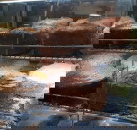 Chickos Chickens and Quality Food - Stayed