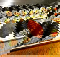 Freewave Sushi  Burgers - Stayed