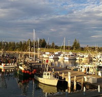 Horse  Camel - Stayed