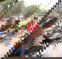 Redgums on PS Emmylou - Stayed