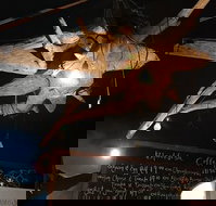 Blackfish Cafe - Stayed