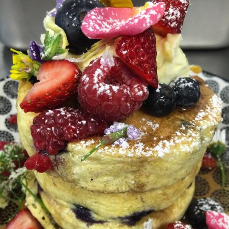 Maitland NSW Stays Accommodation