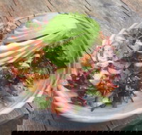 Garden Grub - Stayed