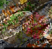 OlleyvilleShaw - Stayed