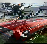 Settler's Cottage and Diner - Stays Accommodation