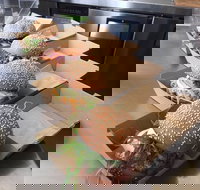 SurfSliders - Stayed