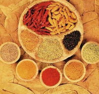 Tehzeeb Indian and Australian Restaurant - Stays Accommodation