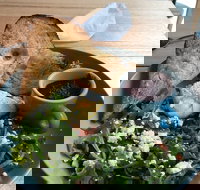 Caffe Cherry Beans Canberra Centre - Stays Accommodation