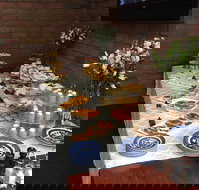 Colony Inn Hotel - Stayed