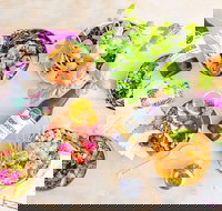 HiPoke Kirra - Stayed