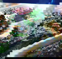 Steam  Cedar - Stayed