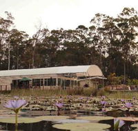 Abundance Cafe and Garden Centre - Stays Accommodation