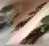 Dai Nam Cafe  Restaurant - Stayed