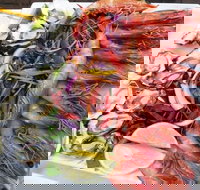 Fitzies Fish and Chips - Stayed