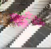 Tingha Sports  Recreation Club - Stayed