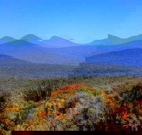 Arcadia Wines - Stayed