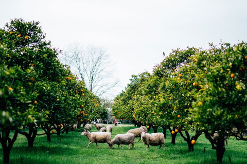 Cambray Cheese Farm Shop - Stayed 0
