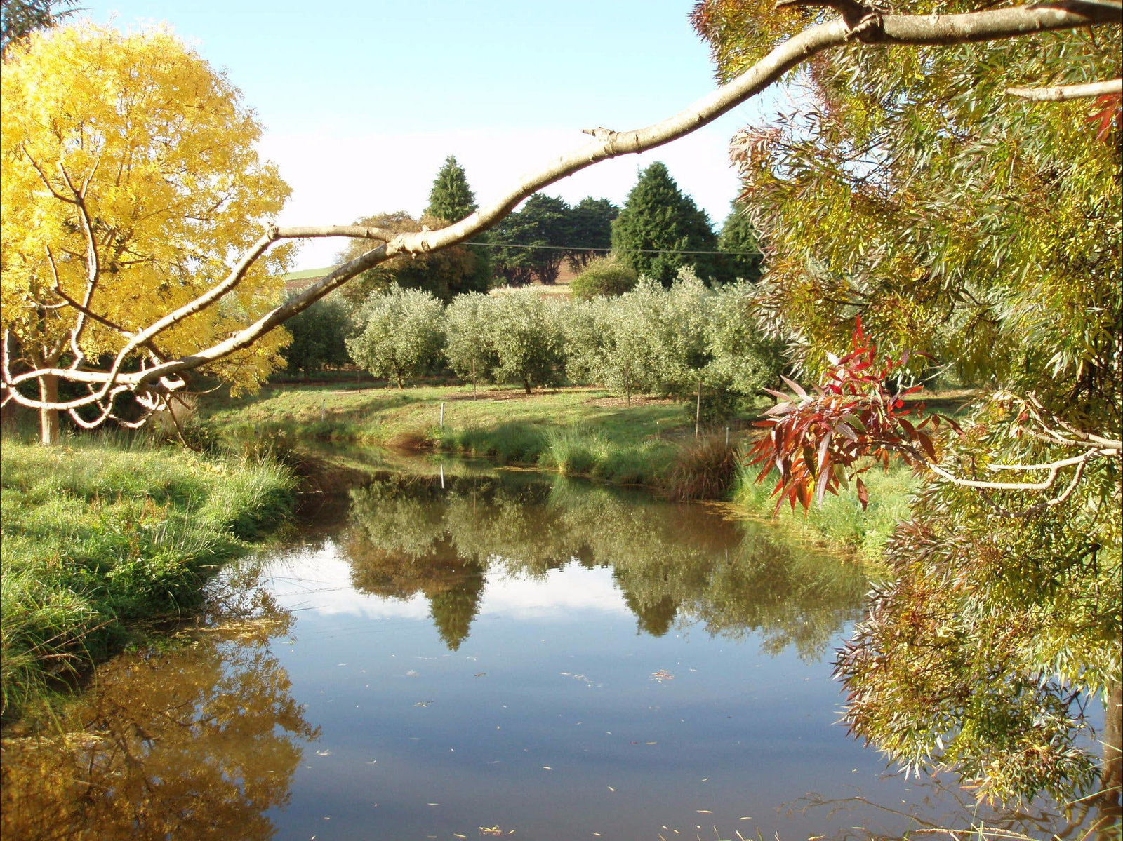 Gunns Plains TAS Stayed