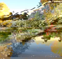 Cradle Coast Olives - Stayed