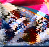 Donut King - Frankston - Stayed