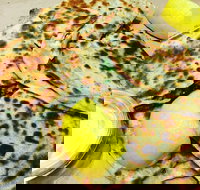 Gozleme King - Macquarie Park - Stayed