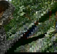 Rowlee Vine To Table Experience - Stayed