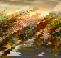 Tarana Indian Restaurant - Stayed