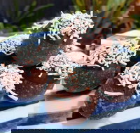 Watkins Bay Coffee Trading Company - Stayed