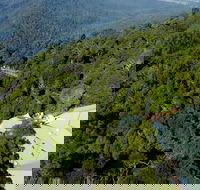 Canopy Cafe - Stays Accommodation