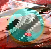 Curl the Whisker Cafe