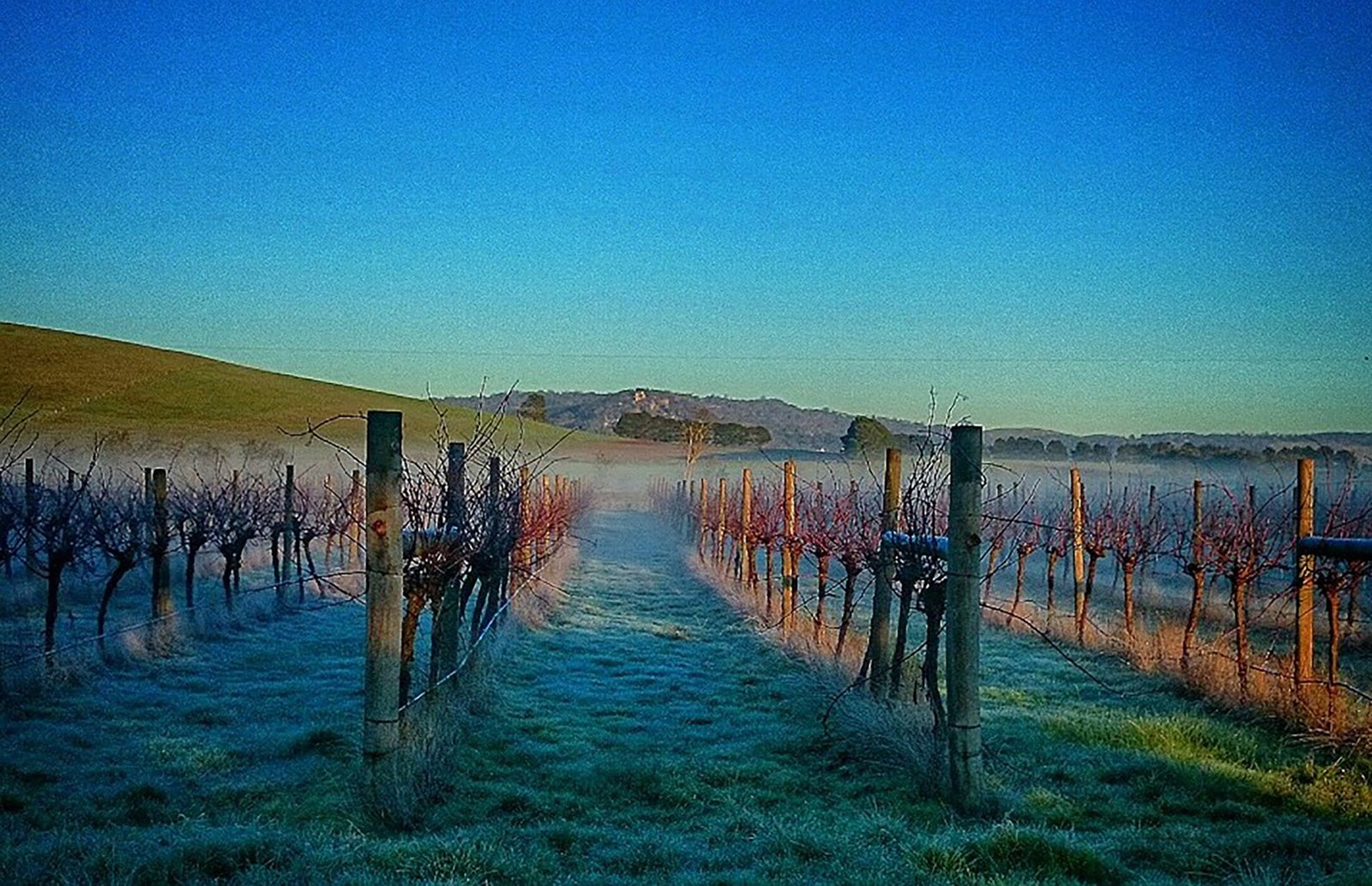 Coghills Creek VIC Stayed