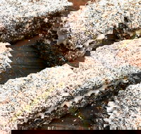 Infinity Bakery - Paddington - Stayed