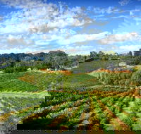 Kellybrook Winery and Kelly Brothers Cider - Stayed
