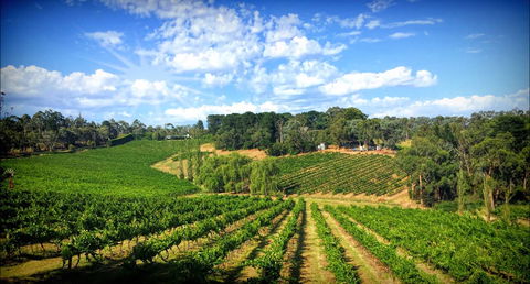 Kellybrook Winery And Kelly Brothers Cider - Stayed 0