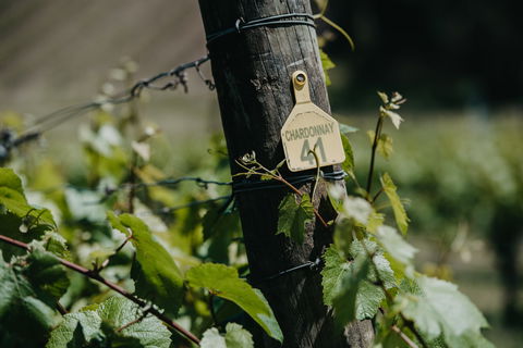 Kellybrook Winery And Kelly Brothers Cider - Stayed 2