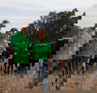 Milawa Organic Beef - Stays Accommodation