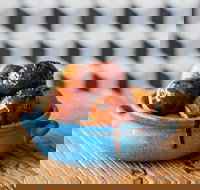 The Yiros Shop - Cannon Hill - Stayed