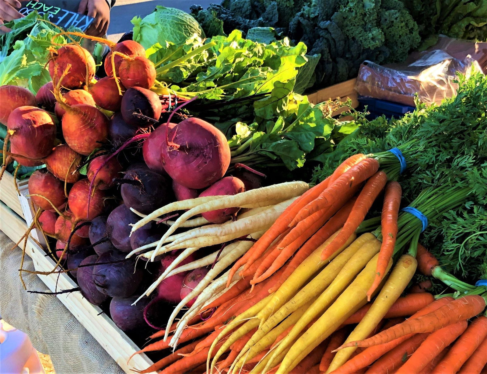 Angaston SA Stays Accommodation