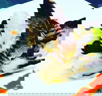 Dumpling Yum Cha Ballina - Stayed