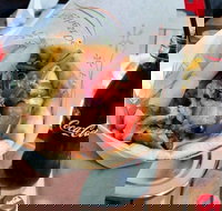 Gyradiko Bexley - Bexley - Stayed