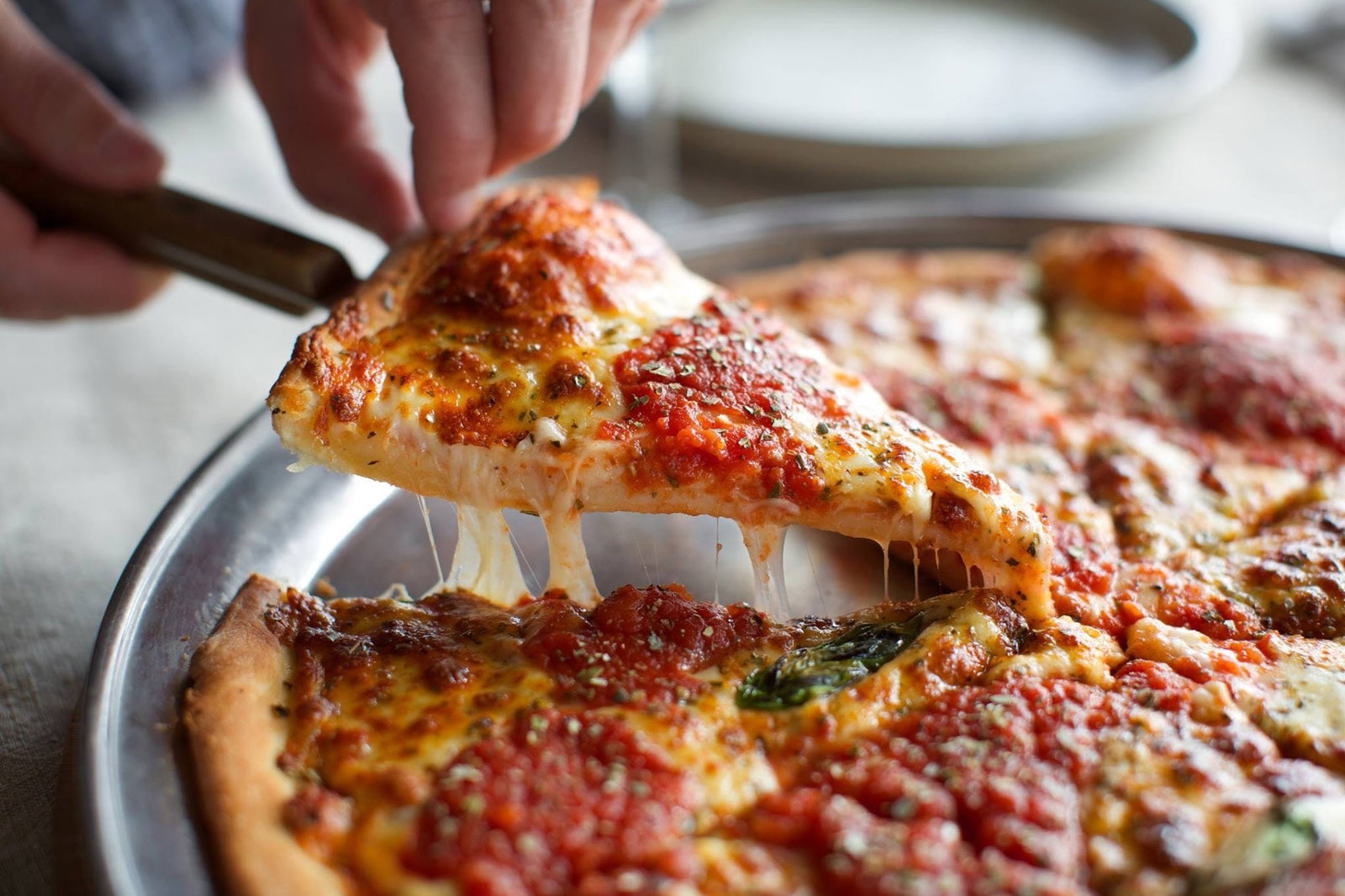 Bayswater North VIC Stayed