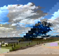 Short Sheep Micro-Winery - Stayed