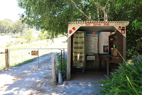 Springwood Farm Berries - Stays Accommodation 1